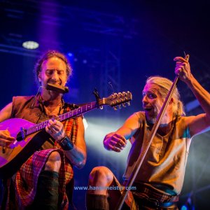 Irish_Folk_Open_Air_Poyenberg_2019-1632