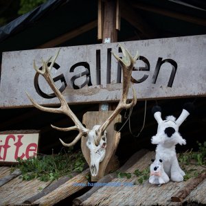 Irish_Folk_Open_Air_Poyenberg_2019-207