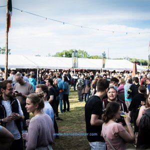 Irish_Folk_Open_Air_Poyenberg_2019-211