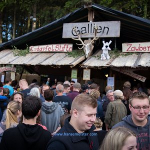 Irish_Folk_Open_Air_Poyenberg_2019-212