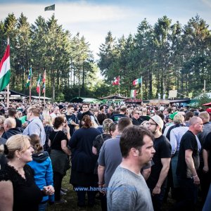 Irish_Folk_Open_Air_Poyenberg_2019-262