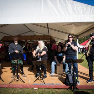 Irish_Folk_Open_Air_Poyenberg_2019-32