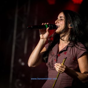 Irish_Folk_Open_Air_Poyenberg_2019-341