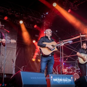 Irish_Folk_Open_Air_Poyenberg_2019-546