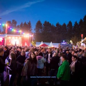 Irish_Folk_Open_Air_Poyenberg_2019-661
