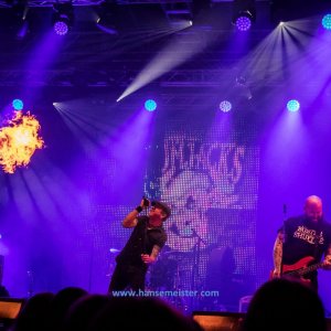 Irish_Folk_Open_Air_Poyenberg_2019-712