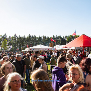 irish-folk-open-air-poyenberg-michael-meister-2022-85