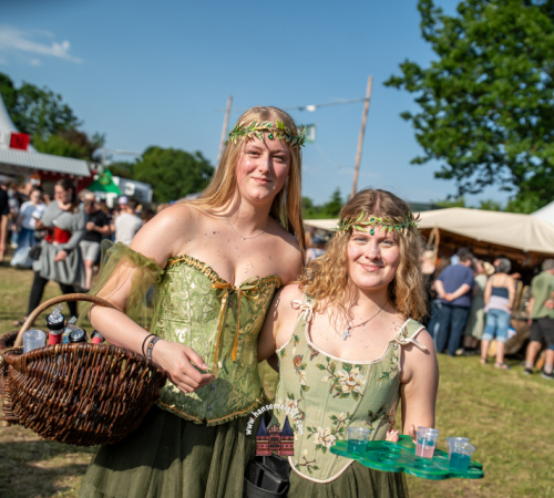 Irish-Folk-Open-Air-Poyenberg-Michael-Meister-2025-179