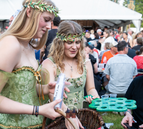 Irish-Folk-Open-Air-Poyenberg-Michael-Meister-2025-841