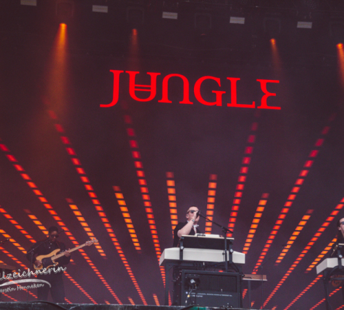 hurricane-Festival-2024-jungle-samstag-238