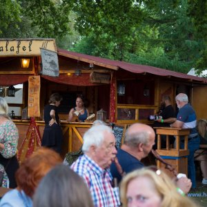 KELTIC_SUMMER_NIGHT_SCHLOSSPARK_WINSEN__LUHE_2018_158_