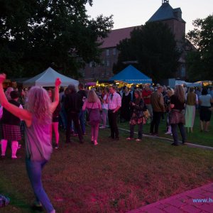 KELTIC_SUMMER_NIGHT_SCHLOSSPARK_WINSEN__LUHE_2018_327_