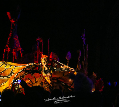lichterfest_bremen_6.11.21-268