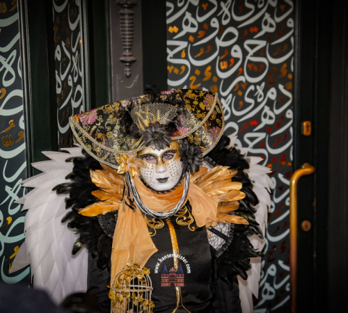 Maskenzauber-2026-Samstag-342