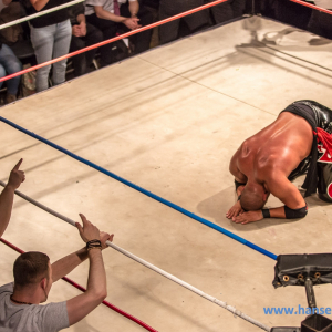 Maximum_Wrestling_Kiel_2017-1207