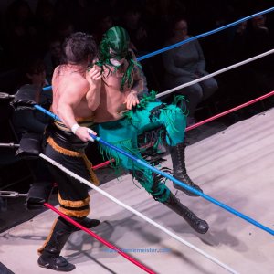 Maximu_Collision_Aus_Abschied_2019-293