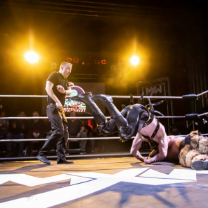 Maximum-Wrestling-Rohe-Weihnacht-2022-538