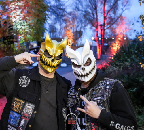 metal-hammer-paradise-Sa-2025-958