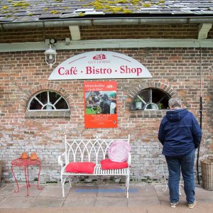 Ruf_der_Ritter_Gut_Hoerne_2019-212