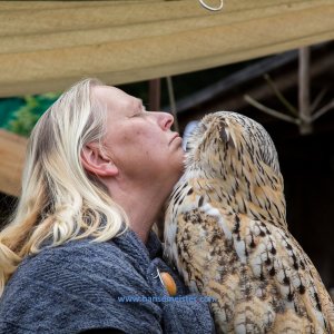 Ruf_der_Ritter_Gut_Hoerne_2019-355