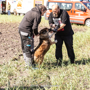autocross_kutenholz_2022-682