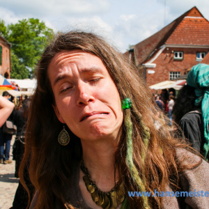 Mittelalterliches_Phantasie_Spectaculum_Basthorst_2014_065