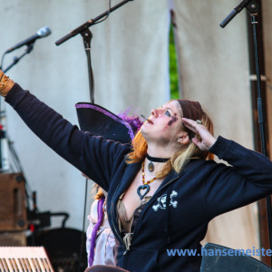 Mittelalterliches_Phantasie_Spectaculum_Basthorst_2014_1306