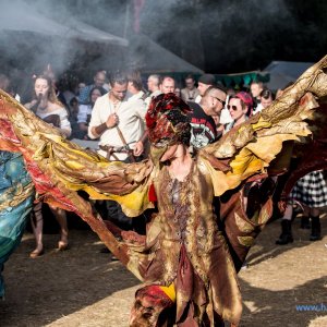 Bueckeburg_2_2018_1107_ Bueckeburg_2_2018_1107_