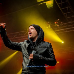 MPS_BueBu_I_2019-1245 MPS_BueBu_I_2019-1245