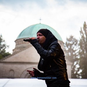 MPS_BueBu_I_2019-1255 MPS_BueBu_I_2019-1255