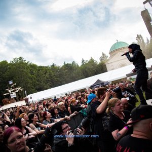 MPS_BueBu_I_2019-1257 MPS_BueBu_I_2019-1257