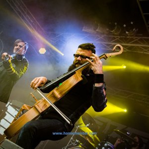 MPS_BueBu_I_2019-1266 MPS_BueBu_I_2019-1266