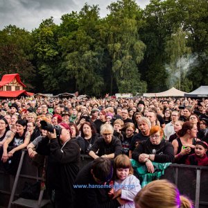 MPS_BueBu_I_2019-1320 MPS_BueBu_I_2019-1320