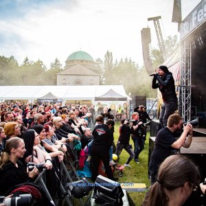 MPS_BueBu_I_2019-1360 MPS_BueBu_I_2019-1360