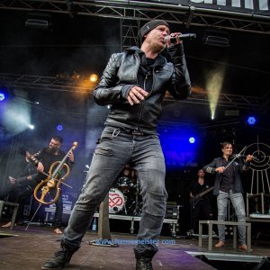 MPS_BueBu_I_2019-1423 MPS_BueBu_I_2019-1423