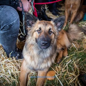 MPS_BueBu_I_2019-1431 MPS_BueBu_I_2019-1431