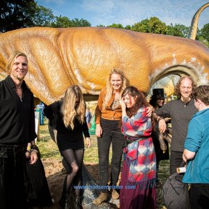 MPS_BueBu_I_2019-1514 MPS_BueBu_I_2019-1514