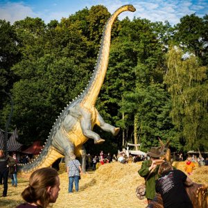 MPS_BueBu_I_2019-1553 MPS_BueBu_I_2019-1553