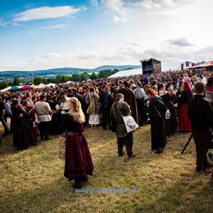 MPS_BueBu_I_2019-1561 MPS_BueBu_I_2019-1561