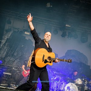 MPS_BueBu_I_2019-1584 MPS_BueBu_I_2019-1584