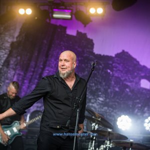 MPS_BueBu_I_2019-1663 MPS_BueBu_I_2019-1663