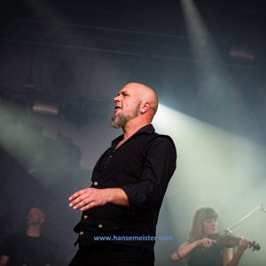 MPS_BueBu_I_2019-1697 MPS_BueBu_I_2019-1697