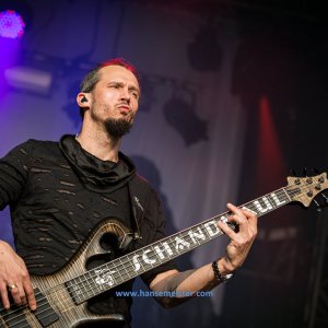 MPS_BueBu_I_2019-1980 MPS_BueBu_I_2019-1980