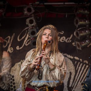 MPS_BueBu_I_2019-235 MPS_BueBu_I_2019-235