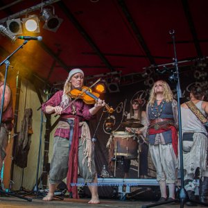 MPS_BueBu_I_2019-254 MPS_BueBu_I_2019-254