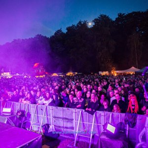 MPS_BueBu_I_2019-2698 MPS_BueBu_I_2019-2698