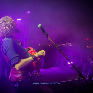 MPS_BueBu_I_2019-2709 MPS_BueBu_I_2019-2709