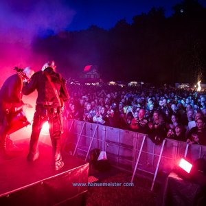 MPS_BueBu_I_2019-2832 MPS_BueBu_I_2019-2832