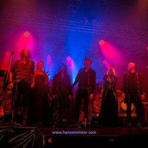 MPS_BueBu_I_2019-2904 MPS_BueBu_I_2019-2904