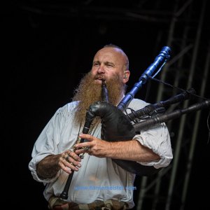 MPS_BueBu_I_2019-536 MPS_BueBu_I_2019-536